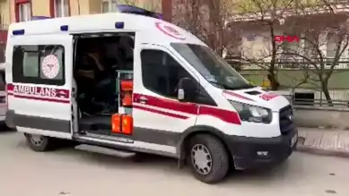 Çorum'da Pitbull Saldırısı: Ölüm Şüphesi