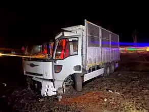 Sungurlu'da Kamyon Tarlaya Devrildi, Sürücü Yaralandı
