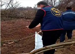Çorum'da Traktör Gömme Olayı: Sahibi Gözaltında