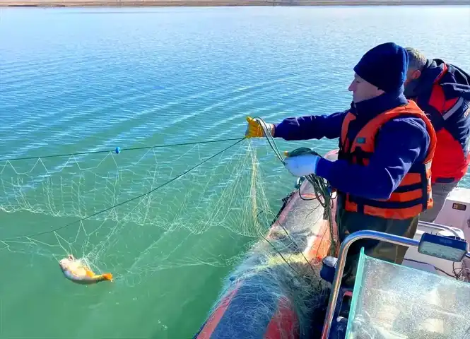 Alaca'da 4 Km Kaçak Balık Ağı Elde Edildi