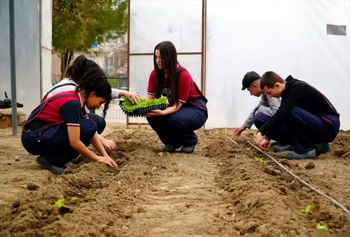 Osmancık'ta Öğrenciler Uygulamalı Tarım Eğitimi Alıyor