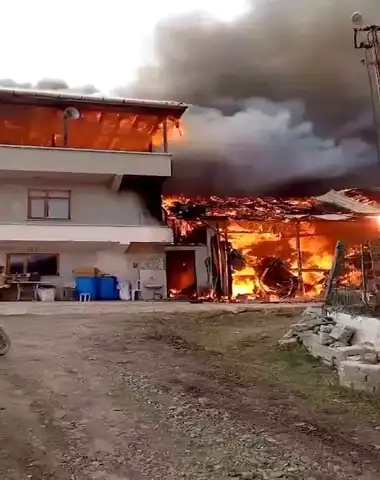 Osmancık'ta Ev ve Ahır Yandı!